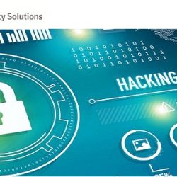 Frost & Sullivan Analyst Paper, 'Six Golden Rules for Selecting an SSL   Certificate'