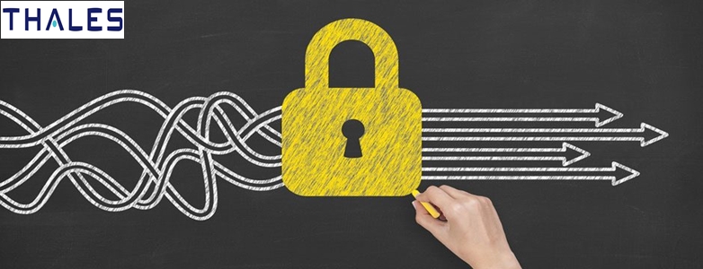 2017 Global Encryption Trends Study