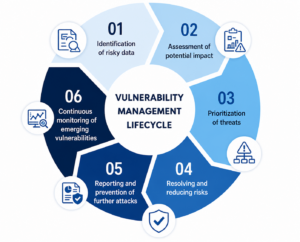 Vulnerability Management Lifecycle - Steps
