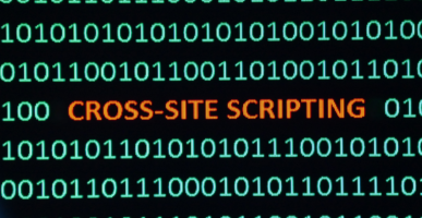 Cross Site Scripting (XSS) {{brizy_dc_image_alt entityId=