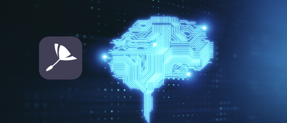 Dandelion Civilization Launches Human Intelligence Platform Dandelion Civilization Launches Human Intelligence Platform