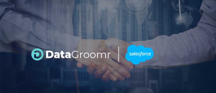 DataGroomr Partner Award Wins in 2027 DataGroomr Partner Award Wins in 2027