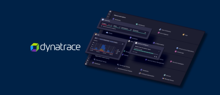 Dynatrace Named Leader And Outperformer Dynatrace Named Leader And Outperformer