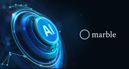 Marble AI tax solutions