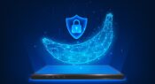 Nano Banana AI Trend Privacy