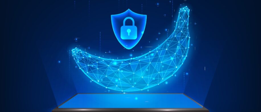 Nano Banana AI Trend Privacy