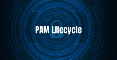 PAM Lifecycle {{brizy_dc_image_alt entityId=