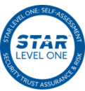 Star Level One - Ververica