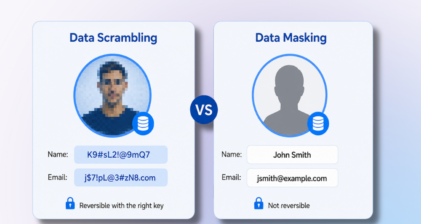 data scrambling vs data masking